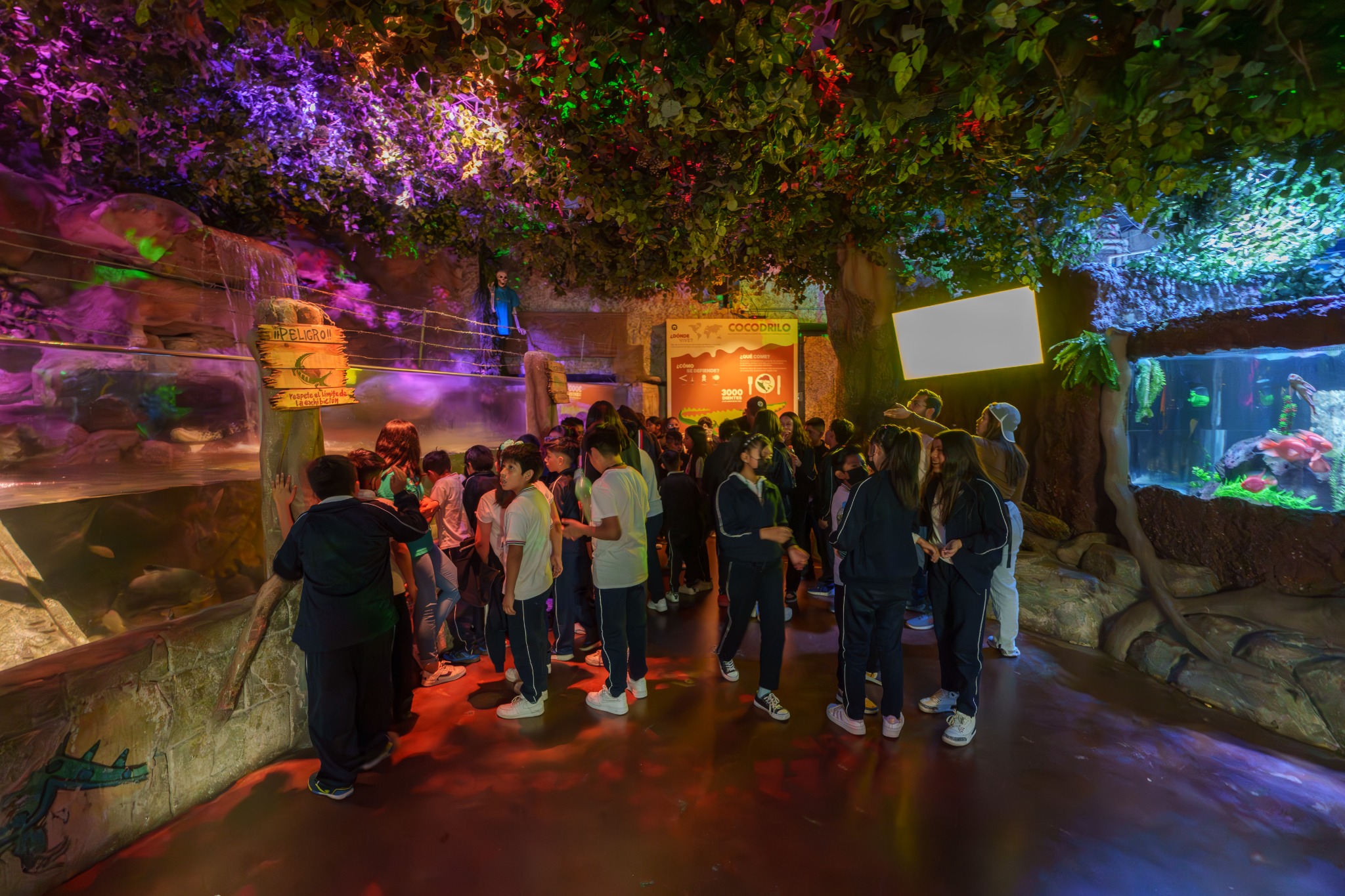 Grupo escolar recorriendo una de las salas del Acuario Inbursa