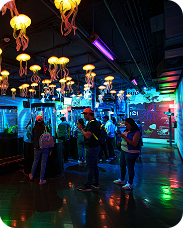 Sala iluminada con medusas